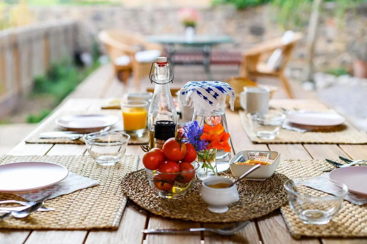 Mas Camins (Adults Only) Bed & Breakfast Avinyonet de Puigventos Spain