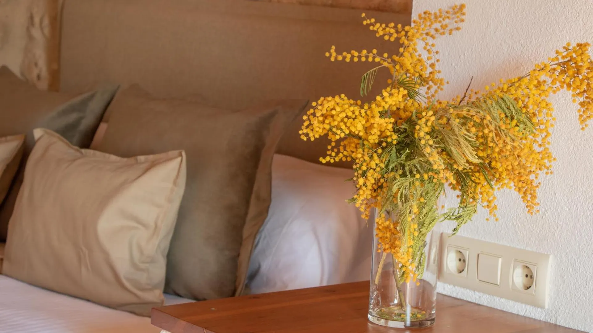 Bed & Breakfast Mas Camins (Adults Only) Bed and Breakfast Avinyonet de Puigventós