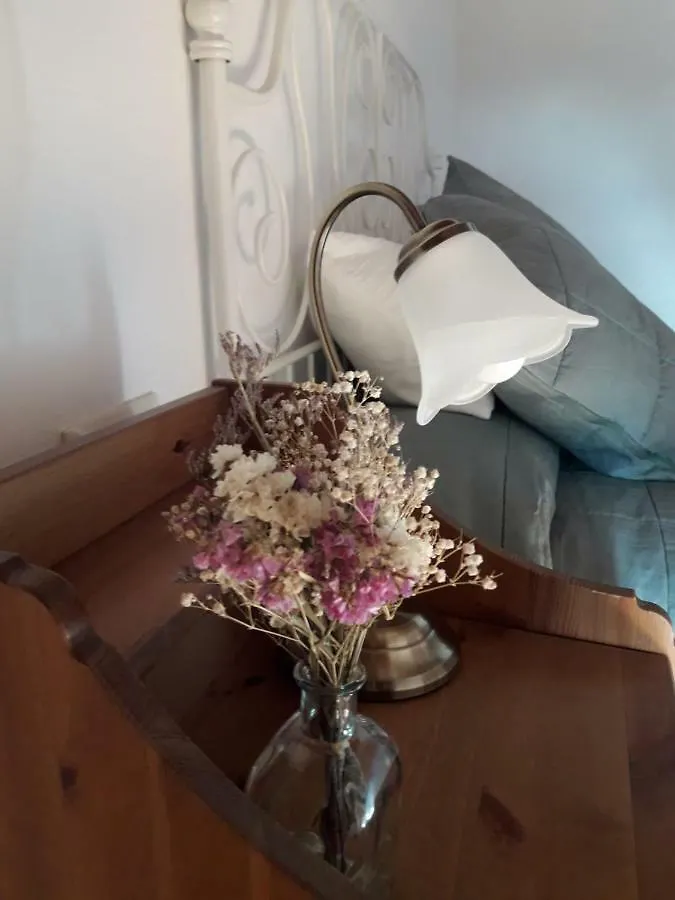 Avinyonet de Puigventós Mas Camins (Adults Only) Bed & Breakfast